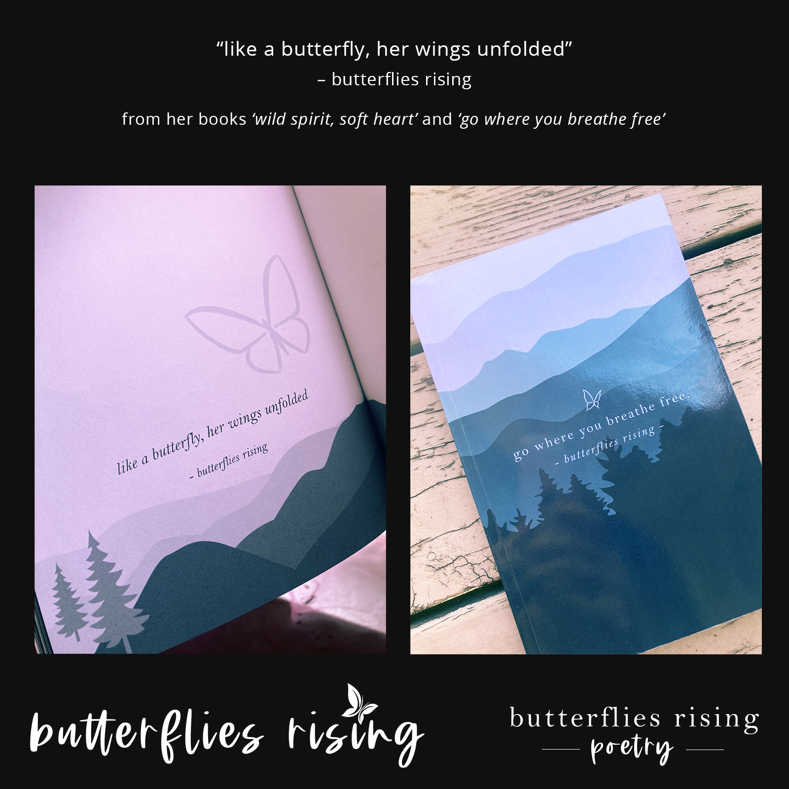like a butterfly, her wings unfolded - butterflies rising - go where you breathe free