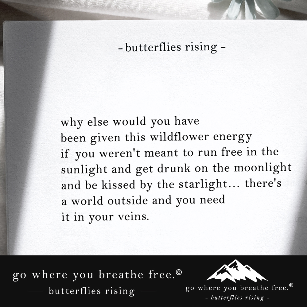 why else would you have been given this wildflower energy